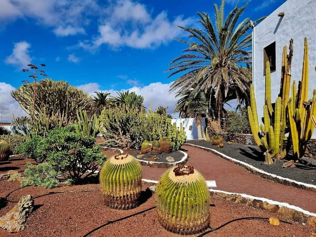 Oasis Tamarindo 1 - Casa Rosa - Appartement 2 Chambres Climatisees Corralejo